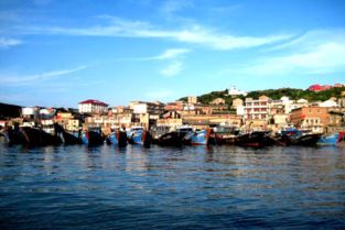 臺州大陳 “漁小二”便民服務不停步，助力海島生活更便捷