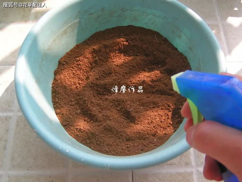 竹林深處藏寶土 天然腐殖土，養花勝買土